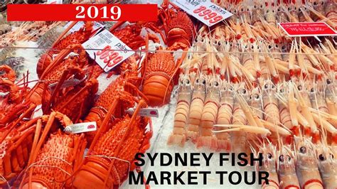sydney fish markets good friday opening hours